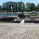 U1502275