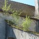 U17_1702