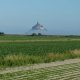 F19_08428
