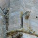 F19_08560
