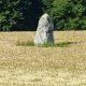 F19_09284