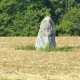 F19_09285