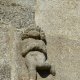F19_09295