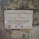 S1131062