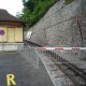 S1142074